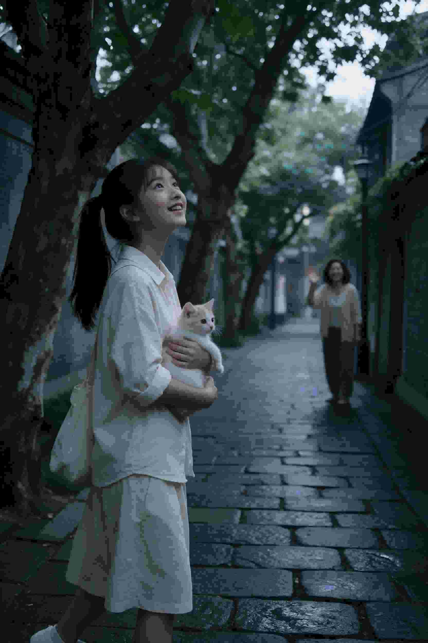 拳王之路